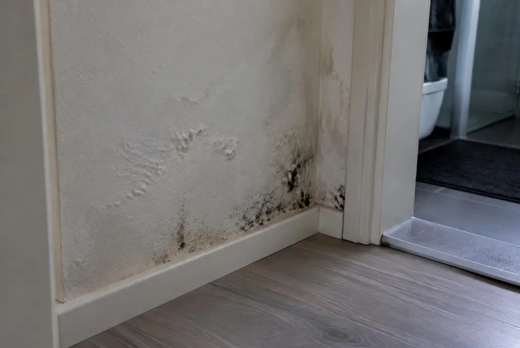 Lekdetectie Tilburg – vochtplek met schimmel op een muur
